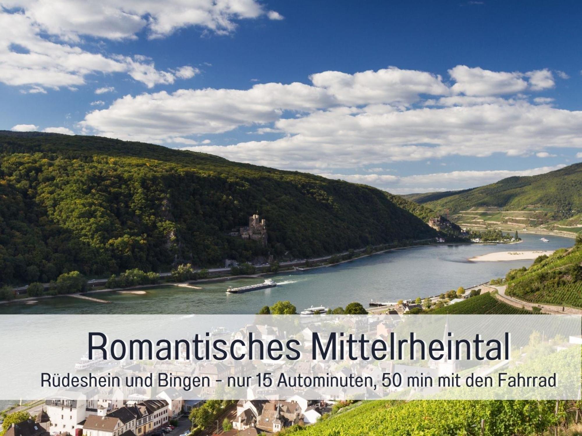 Dahem-apartments - Ruhig Parkplatz Rhein Main Gebiet Gut Erreichbar - App 1 Barrierefrei Mit Kamin Garten Und Hund - App 2 Mit Balkon Apartment