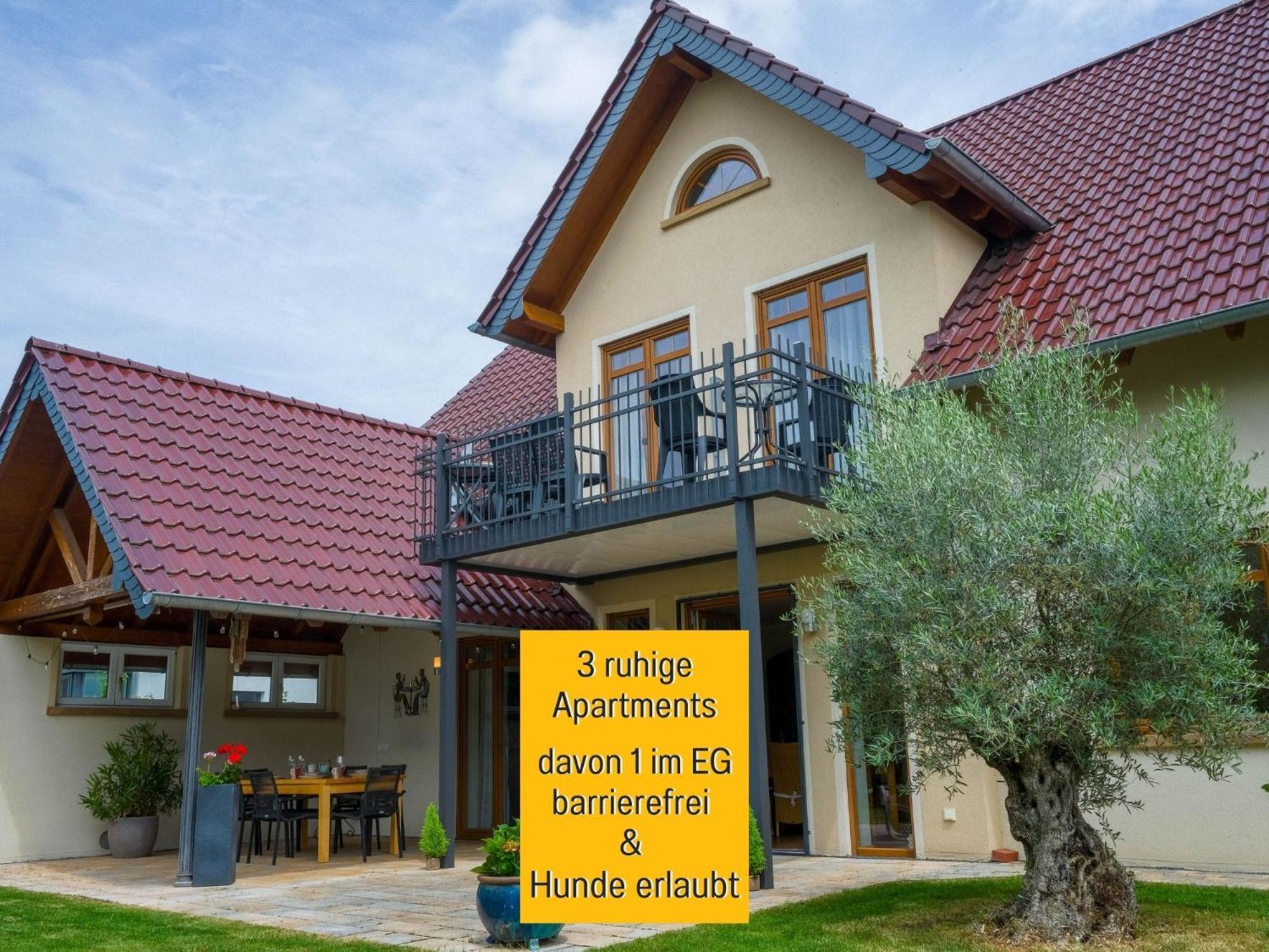 Apartment Dahem-apartments - Ruhig Parkplatz Rhein Main Gebiet Gut Erreichbar - App 1 Barrierefrei Mit Kamin Garten Und Hund - App 2 Mit Balkon Bretzenheim